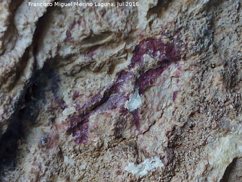 Pinturas rupestres del Abrigo de Manolo Vallejo - Pinturas rupestres del Abrigo de Manolo Vallejo. Cabra montesa