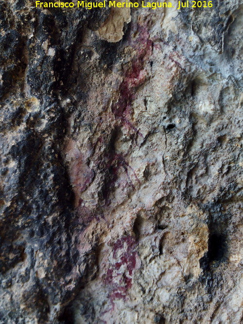 Pinturas rupestres del Abrigo de Manolo Vallejo - Pinturas rupestres del Abrigo de Manolo Vallejo. Tres cabras en movimiento descendente