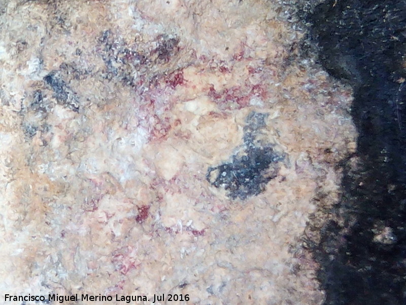 Pinturas rupestres del Abrigo de Manolo Vallejo - Pinturas rupestres del Abrigo de Manolo Vallejo. Pintura rupestre inédita