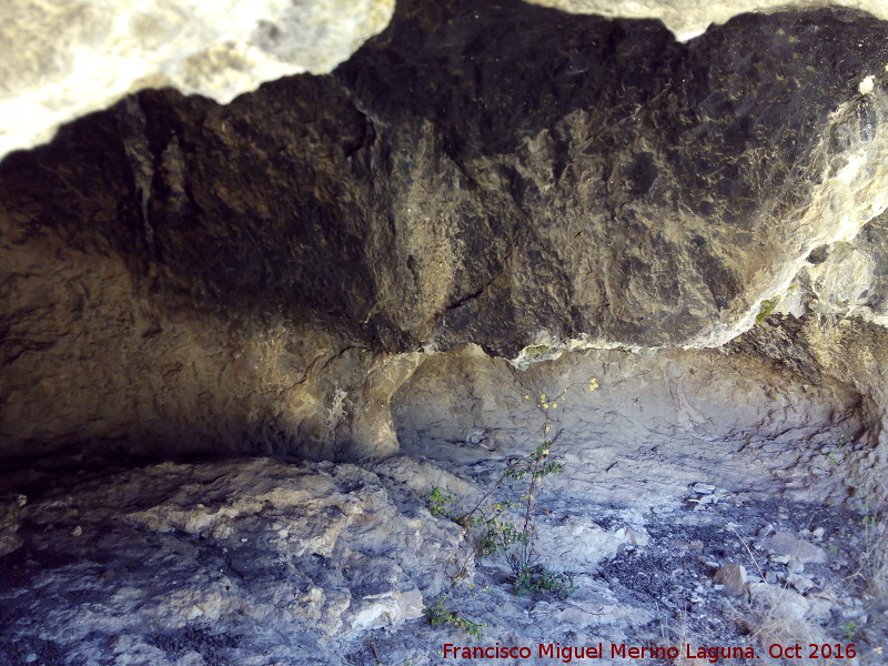 Pinturas rupestres del Abrigo de Ro Fro II - Pinturas rupestres del Abrigo de Ro Fro II. Abrigo