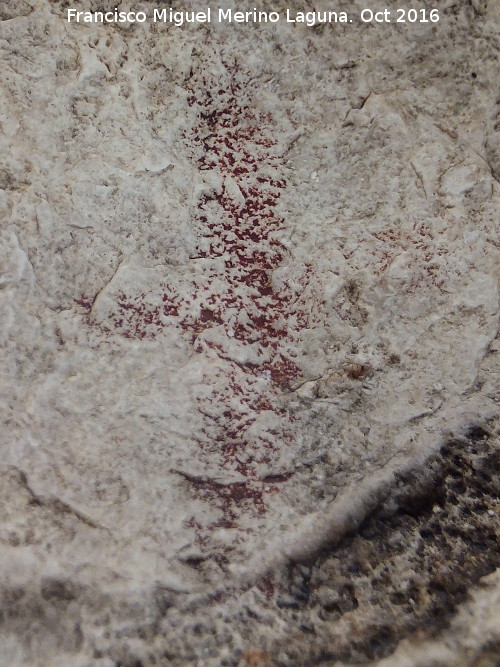 Pinturas rupestres del Abrigo de Ro Fro II - Pinturas rupestres del Abrigo de Ro Fro II. Cruciforme