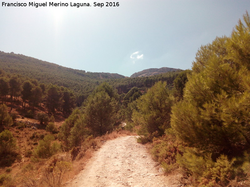 Camino de la Fuente del Piojo - Camino de la Fuente del Piojo. 