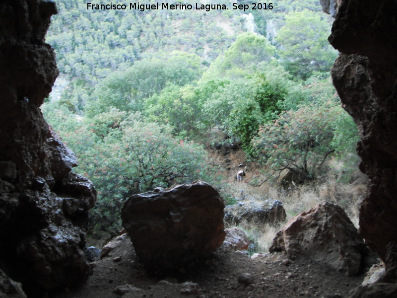Cueva Baja de la Rinconada de los Acebuches - Cueva Baja de la Rinconada de los Acebuches. Entrada a la cueva