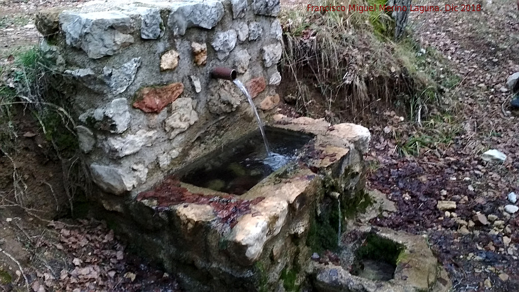 Fuente Piedra - Fuente Piedra. 