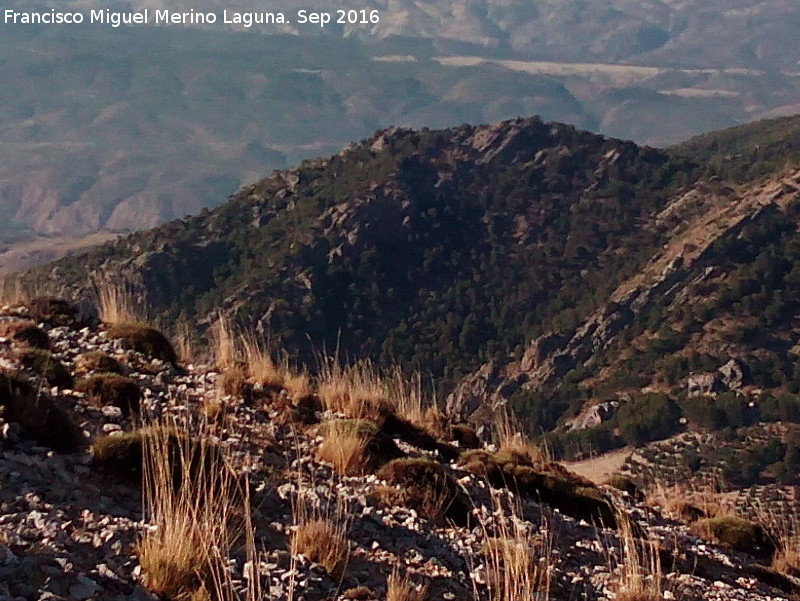 Cerro del Caballo - Cerro del Caballo. Desde la ladera del Rayal
