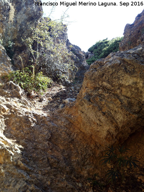 Barranco de los Arenales - Barranco de los Arenales. 