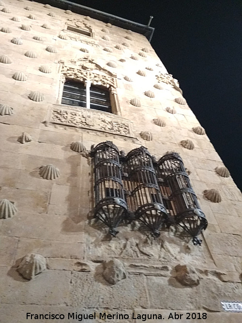 Casa de las Conchas - Casa de las Conchas. Torre