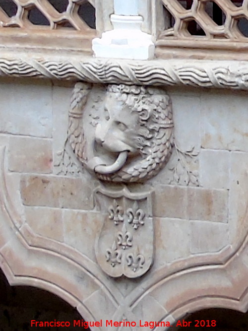 Casa de las Conchas - Casa de las Conchas. Escudo