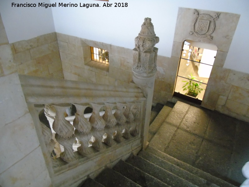 Casa de las Conchas - Casa de las Conchas. Escalera