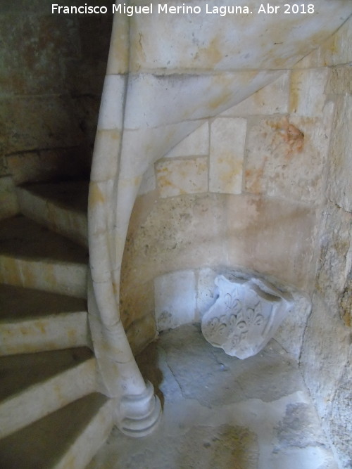 Casa de las Conchas - Casa de las Conchas. Escaleras de caracol