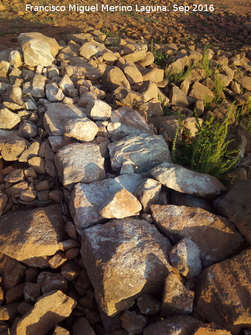 Cortijo del Guadaln - Cortijo del Guadaln. Muro