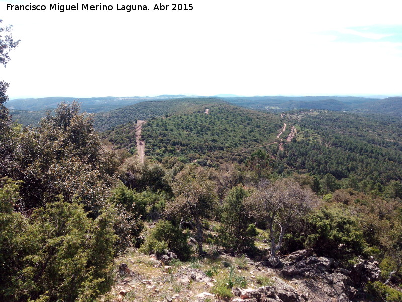 Batalla de las Navas de Tolosa - Batalla de las Navas de Tolosa. Mesa del Rey