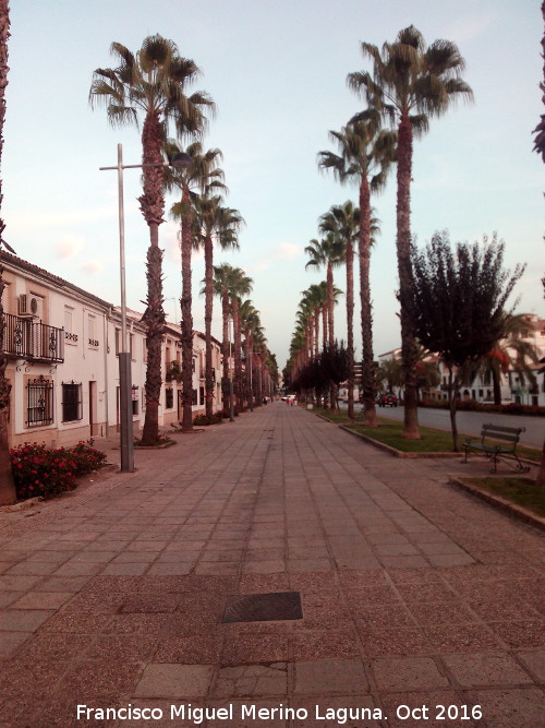 Calle Jorge Manrique - Calle Jorge Manrique. 