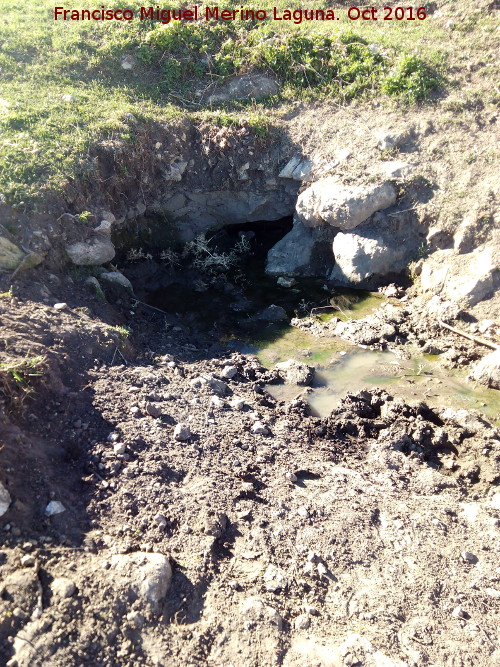 Fuente del Prado de las Flores - Fuente del Prado de las Flores. Nacimiento