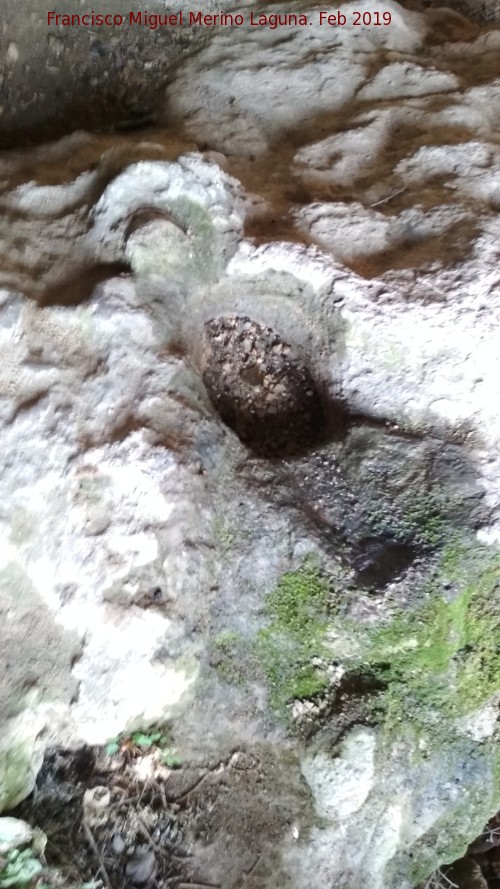 Cueva del Jabonero - Cueva del Jabonero. Grabado