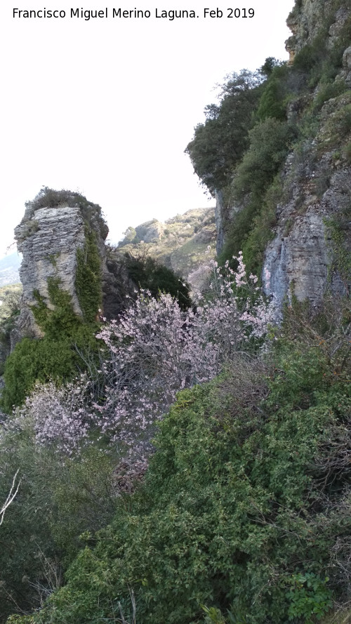 Cueva del Jabonero - Cueva del Jabonero. Recinto de la cueva