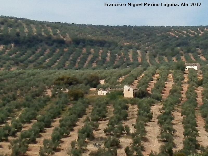 Cortijo Villar Alto - Cortijo Villar Alto. 