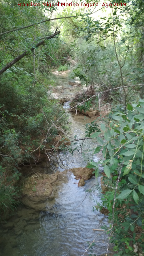 Ro Caamares - Ro Caamares. 