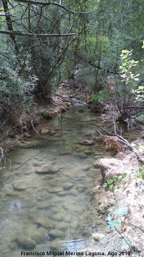 Ro Caamares - Ro Caamares. 