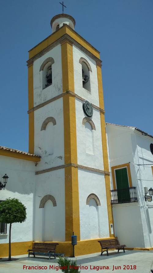 Iglesia de San Pedro Advncula - Iglesia de San Pedro Advncula. Campanario