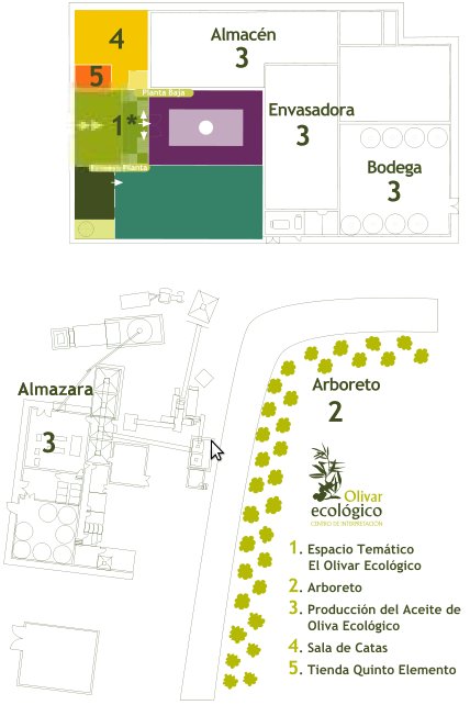 Centro de interpretacin del Olivar Ecolgico - Centro de interpretacin del Olivar Ecolgico. Plano