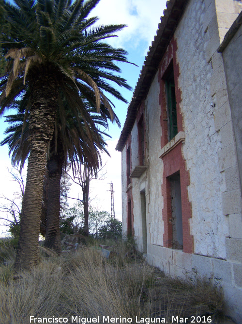 Cortijo de las Pilas de Espeso - Cortijo de las Pilas de Espeso. Palmeras y fachada