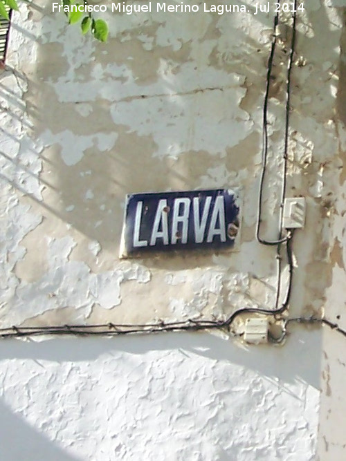 Larva - Larva. Cartel