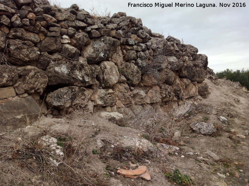 Yacimiento romano de Casa Fuerte - Yacimiento romano de Casa Fuerte. Muralla y boca de tinaja