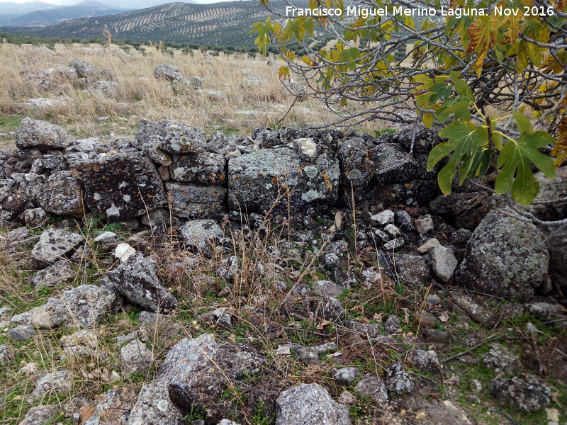 Yacimiento romano de Casa Fuerte - Yacimiento romano de Casa Fuerte. Muro