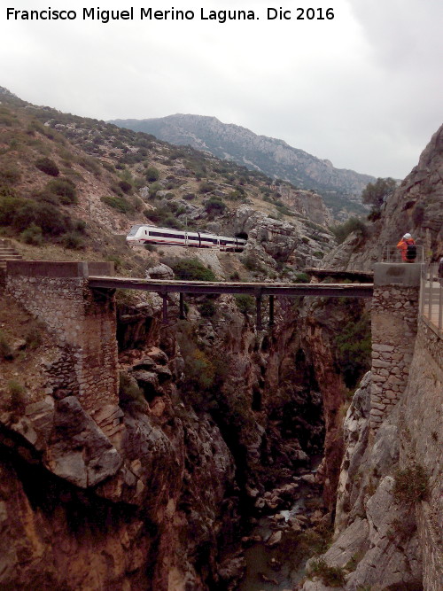 Puente del Rey - Puente del Rey. El Tren por la va frrea al fondo