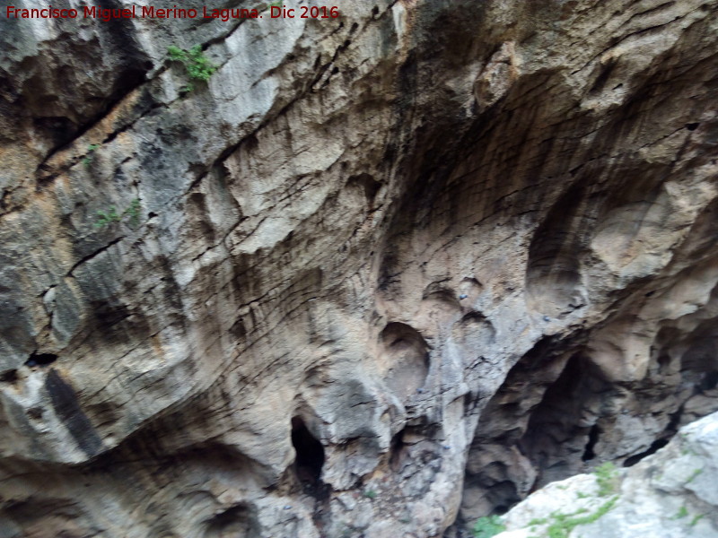 Desfiladero del Gaitanejo - Desfiladero del Gaitanejo. Paredes rocosas