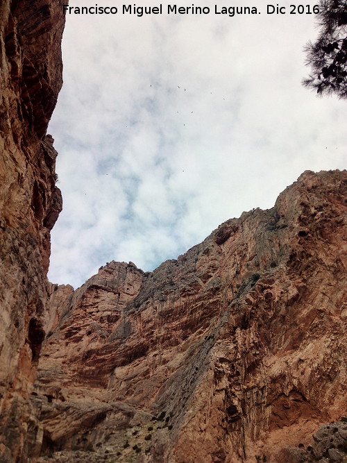 Desfiladero del Gaitanejo - Desfiladero del Gaitanejo. Paredes