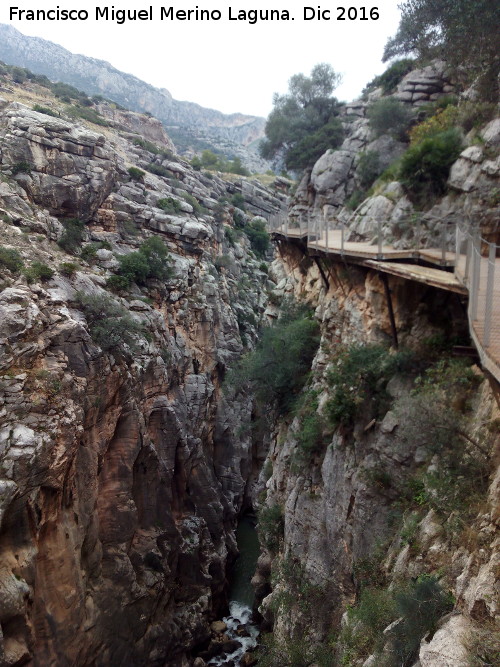 Desfiladero del Gaitanejo - Desfiladero del Gaitanejo. Pasado el Puente del Rey4