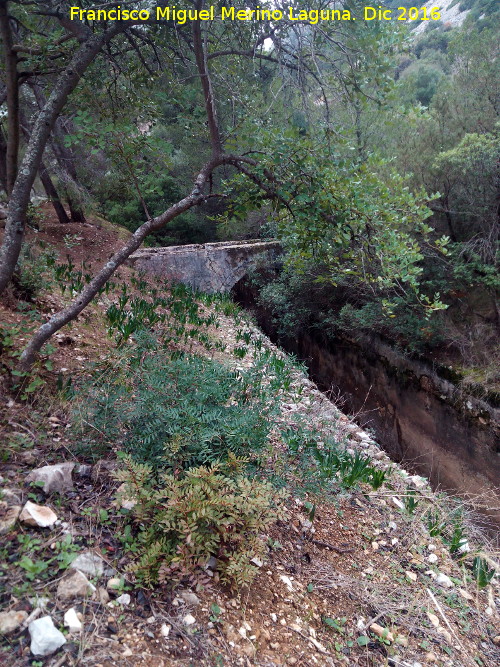 Canal del Chorro - Canal del Chorro. Puente del Canal