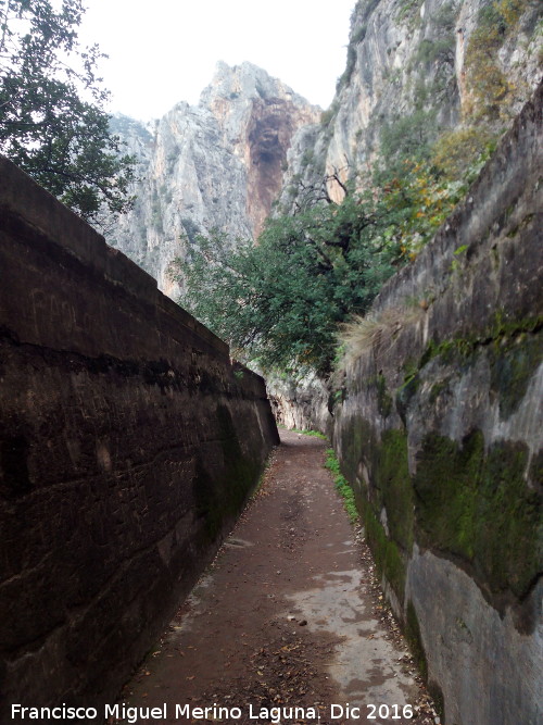 Canal del Chorro - Canal del Chorro. 