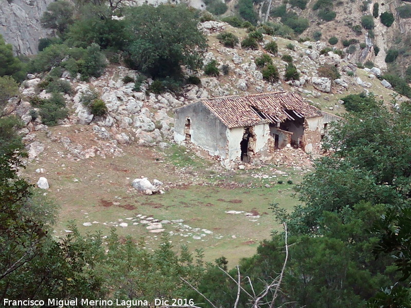 Cortijo del Hoyo - Cortijo del Hoyo. 