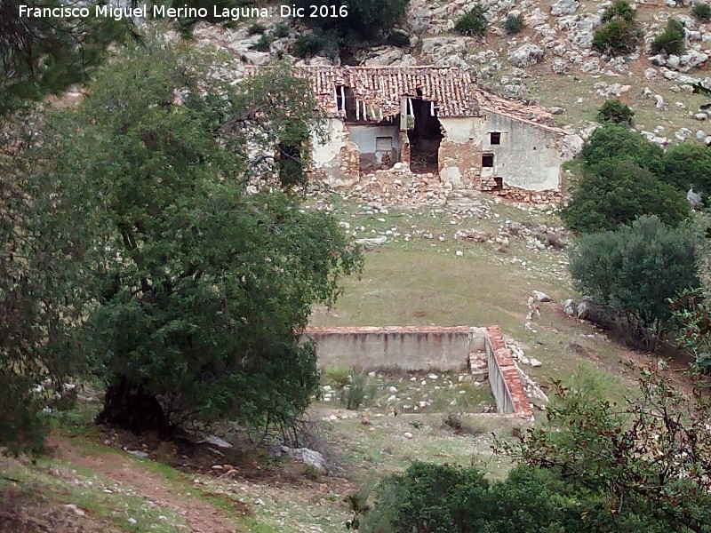 Cortijo del Hoyo - Cortijo del Hoyo. 