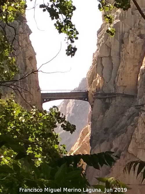 Puente de los Gaitanes - Puente de los Gaitanes. Desde el Mirador de la Fuente El Pilar