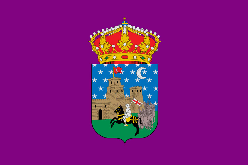 Guadalajara - Guadalajara. Bandera
