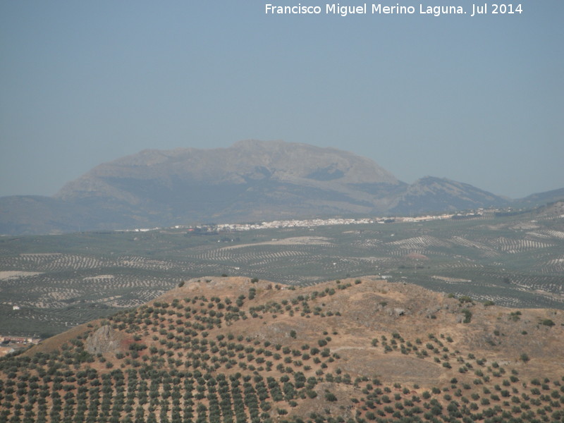 Mancha Real - Mancha Real. Desde el Cerro de las Canteras