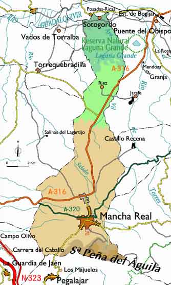 Mancha Real - Mancha Real. Trmino