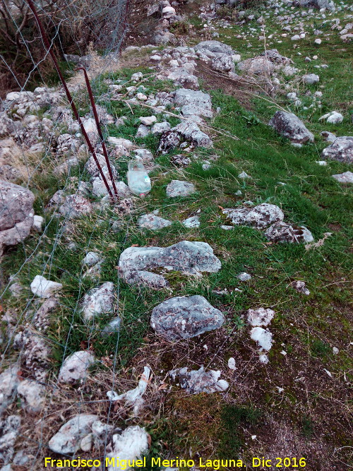 Muros de El Toril - Muros de El Toril. Resto de muro