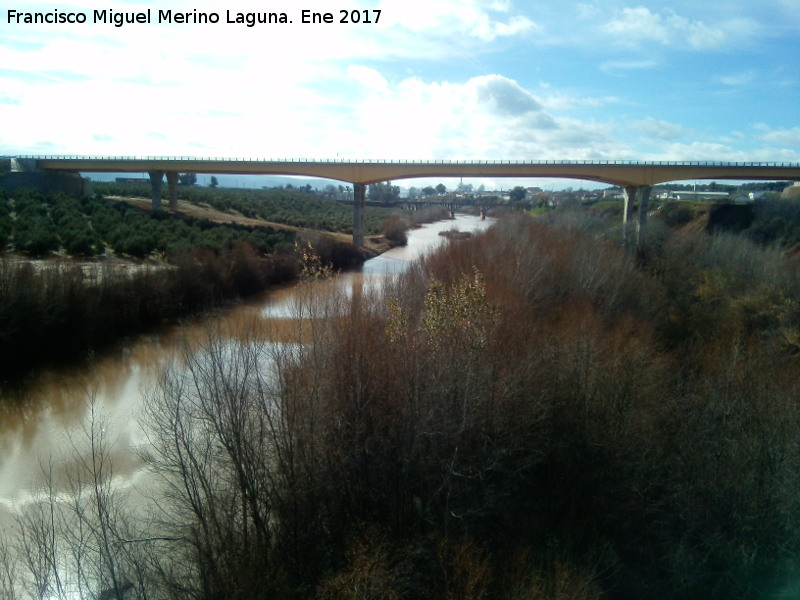 Puente Nuevo de la Estacin Linares Baeza - Puente Nuevo de la Estacin Linares Baeza. 