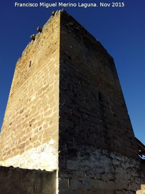 Castillo de la Aragonesa - Castillo de la Aragonesa. Torre del Homenaje