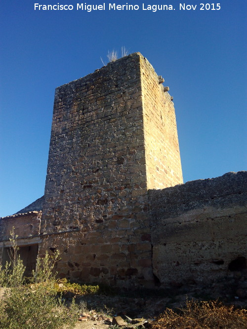 Castillo de la Aragonesa - Castillo de la Aragonesa. Torre del Homenaje