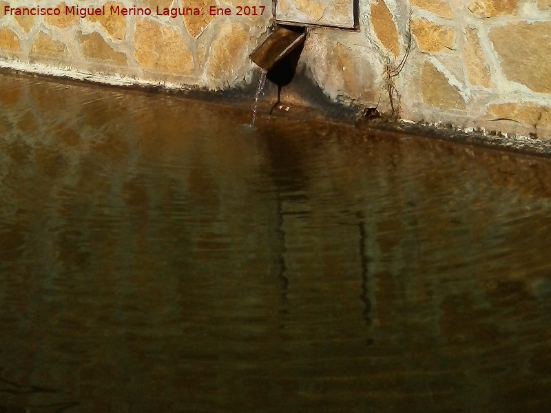 Fuente de Fuentevellia - Fuente de Fuentevellia. Cao