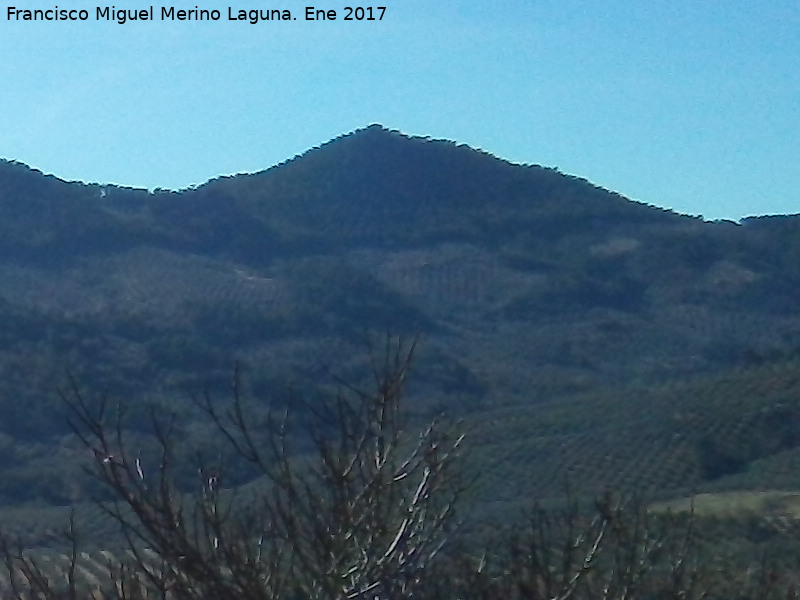 Cerro de los Corzos - Cerro de los Corzos. Desde el Mirador de la Fuente Larga