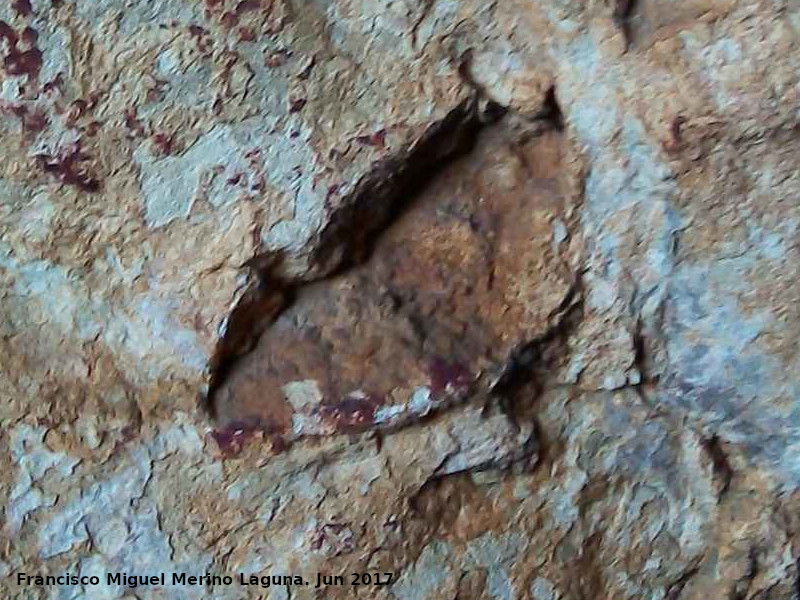 Pinturas rupestres del Abrigo de Peas Rubias III - Pinturas rupestres del Abrigo de Peas Rubias III. Puntos
