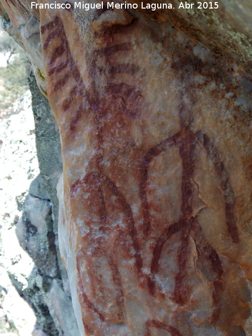 Pinturas rupestres del Arroyo del Santo - Pinturas rupestres del Arroyo del Santo. Grupo I. Antropomorfos superiores derechos