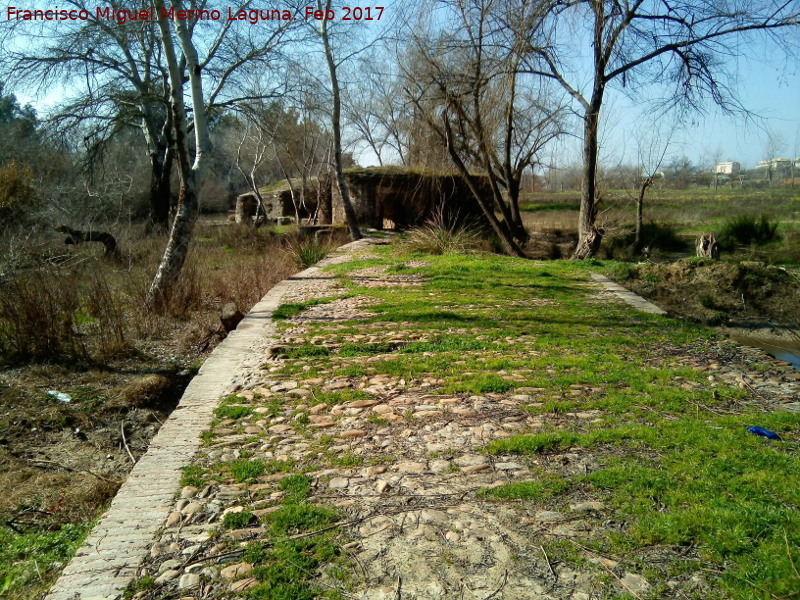 Puente del Molino de las Aceas I - Puente del Molino de las Aceas I. 